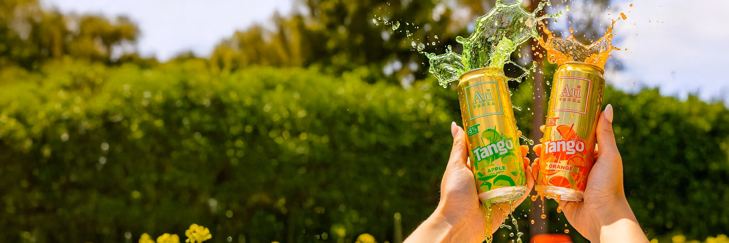 Experience the Gold Standard